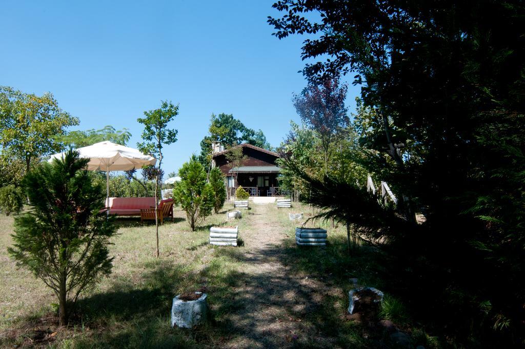 Agva Nehir Perisi Hotel Goce Luaran gambar