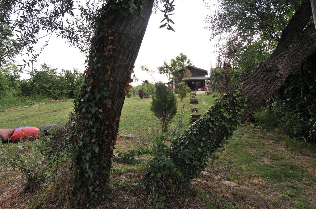 Agva Nehir Perisi Hotel Goce Bilik gambar